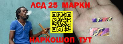 ALPHA PVP Ярославль