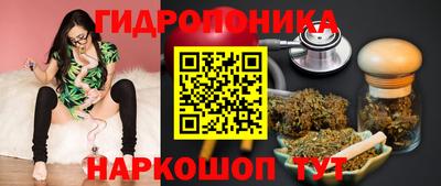 ALPHA PVP Ярославль