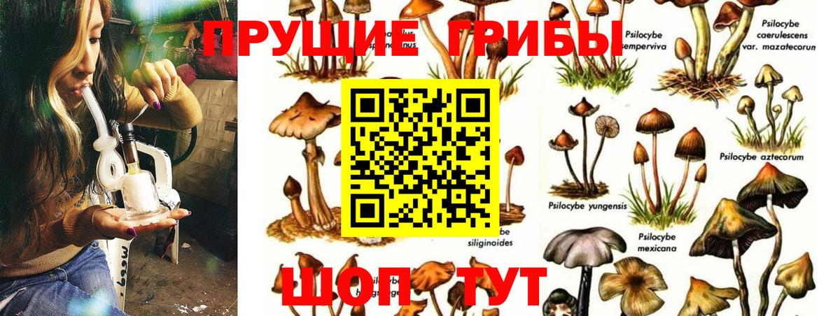 Галлюциногенные грибы GOLDEN TEACHER Верхний Уфалей