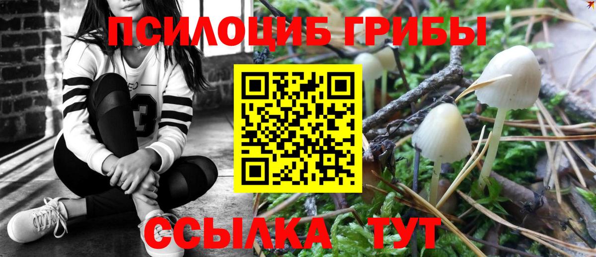 купить закладку  Вход с VPN  Верхний Уфалей  Галлюциногенные грибы прущие грибы 